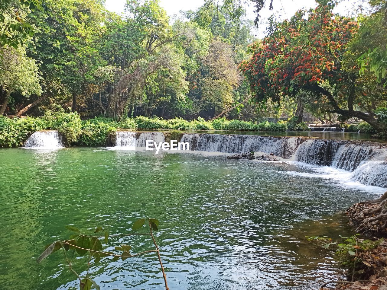 SCENIC VIEW OF RIVER FLOWING THROUGH FOREST