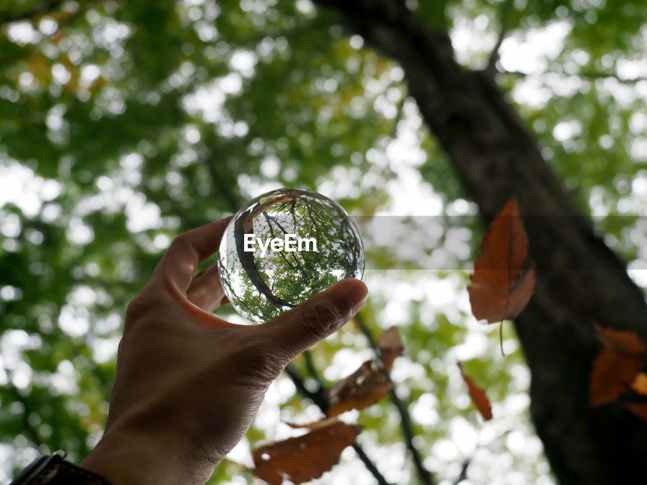 Low angle view of hand holding crystal ball