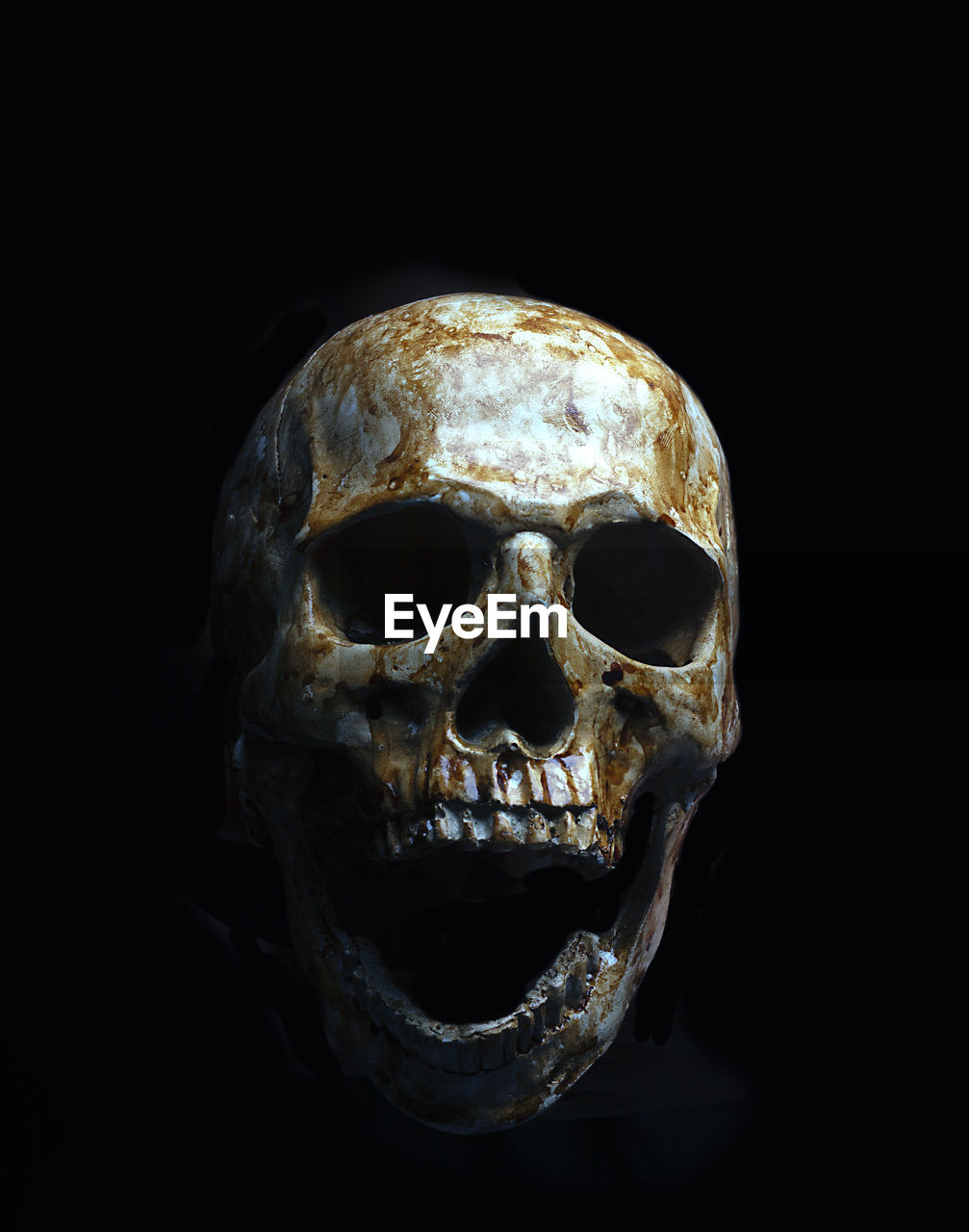 Close-up of human skull against black background