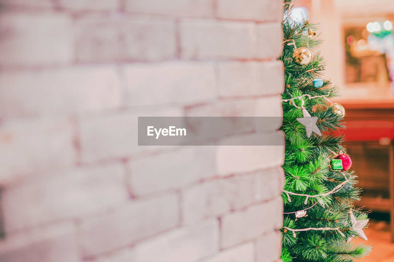 Close-up of christmas tree against wall