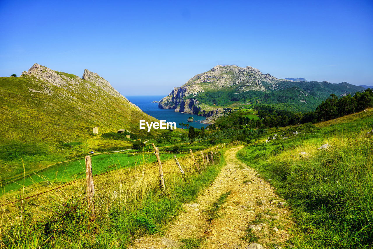 Scenic view of landscape against clear blue sky