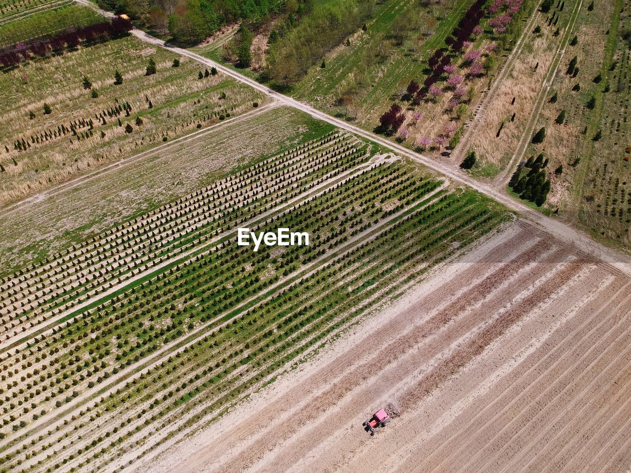 HIGH ANGLE VIEW OF AGRICULTURAL LAND