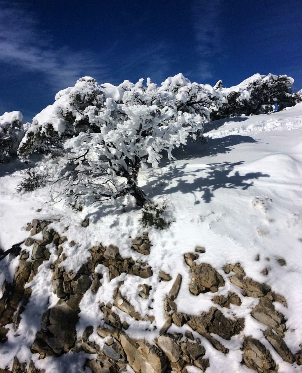 CLOSE-UP OF SNOW COVERED MOUNTAIN