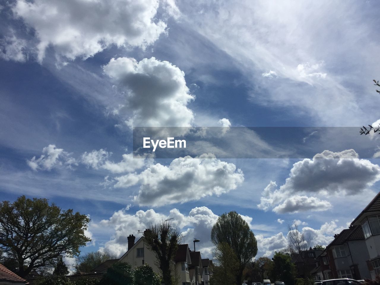 LOW ANGLE VIEW OF TREES AGAINST CLOUDY SKY