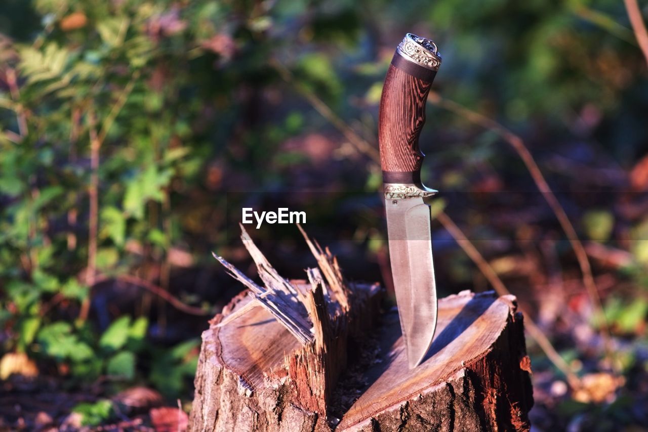 Close-up of knife on tree stump at field