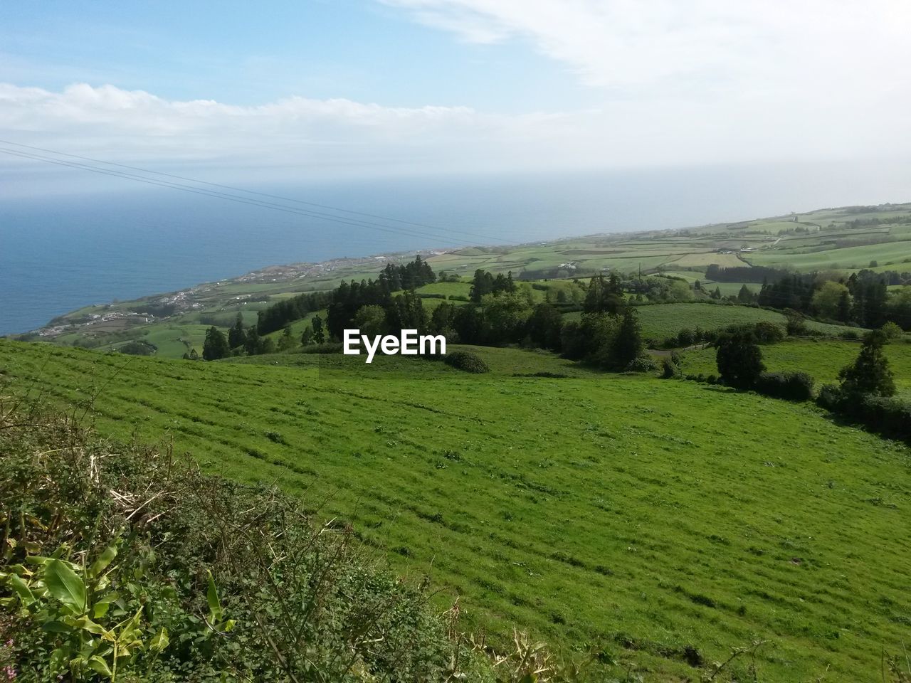 Scenic view of green landscape by sea against sky