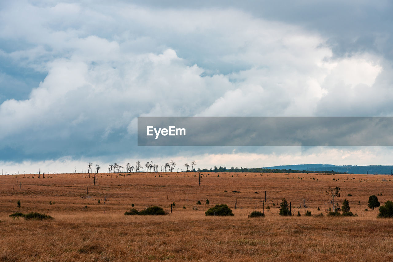 Panorama of the high fens in autumn, belgium.