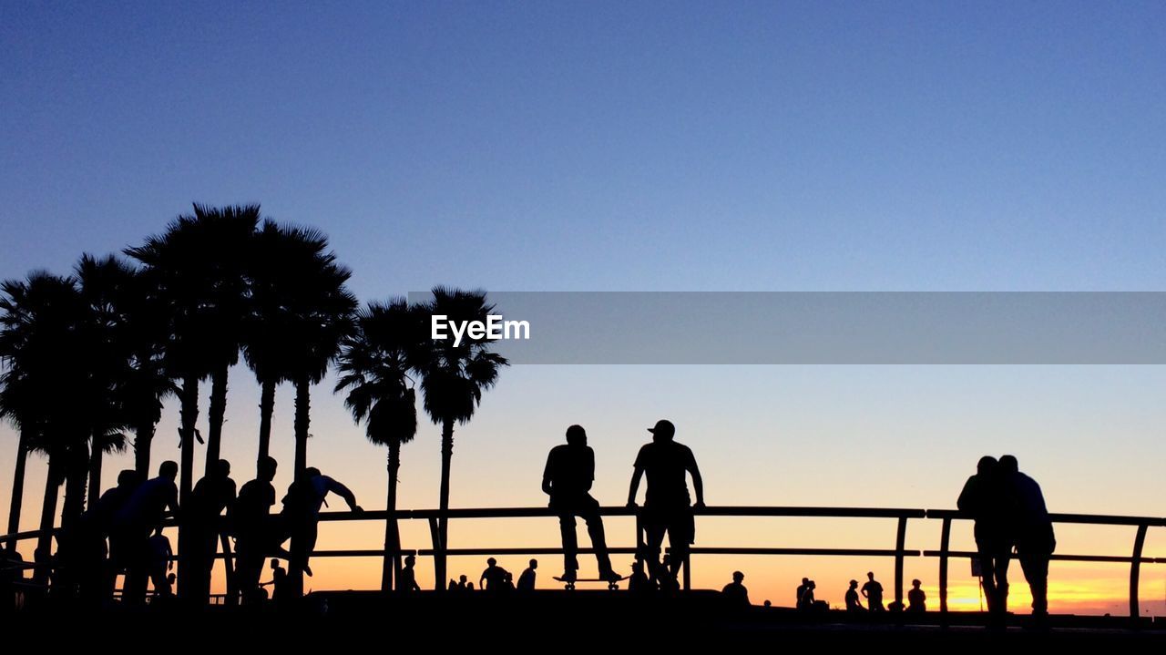 Silhouettes of people and palm trees