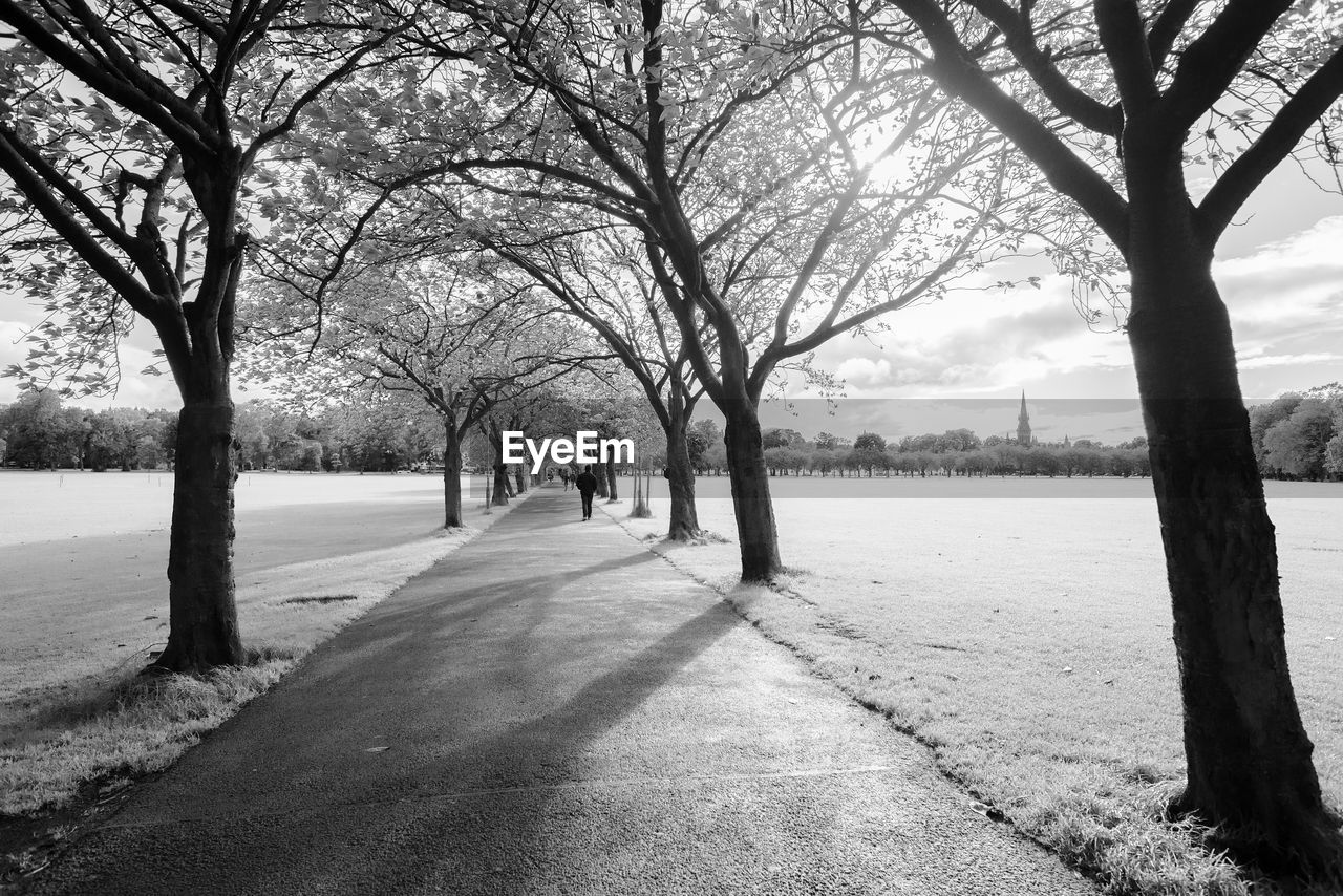 Rear view of man walking on footpath amidst trees at park