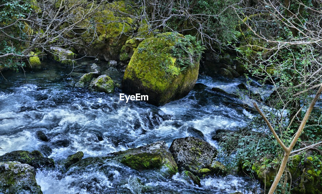 SCENIC VIEW OF WATER FLOWING IN GRASS