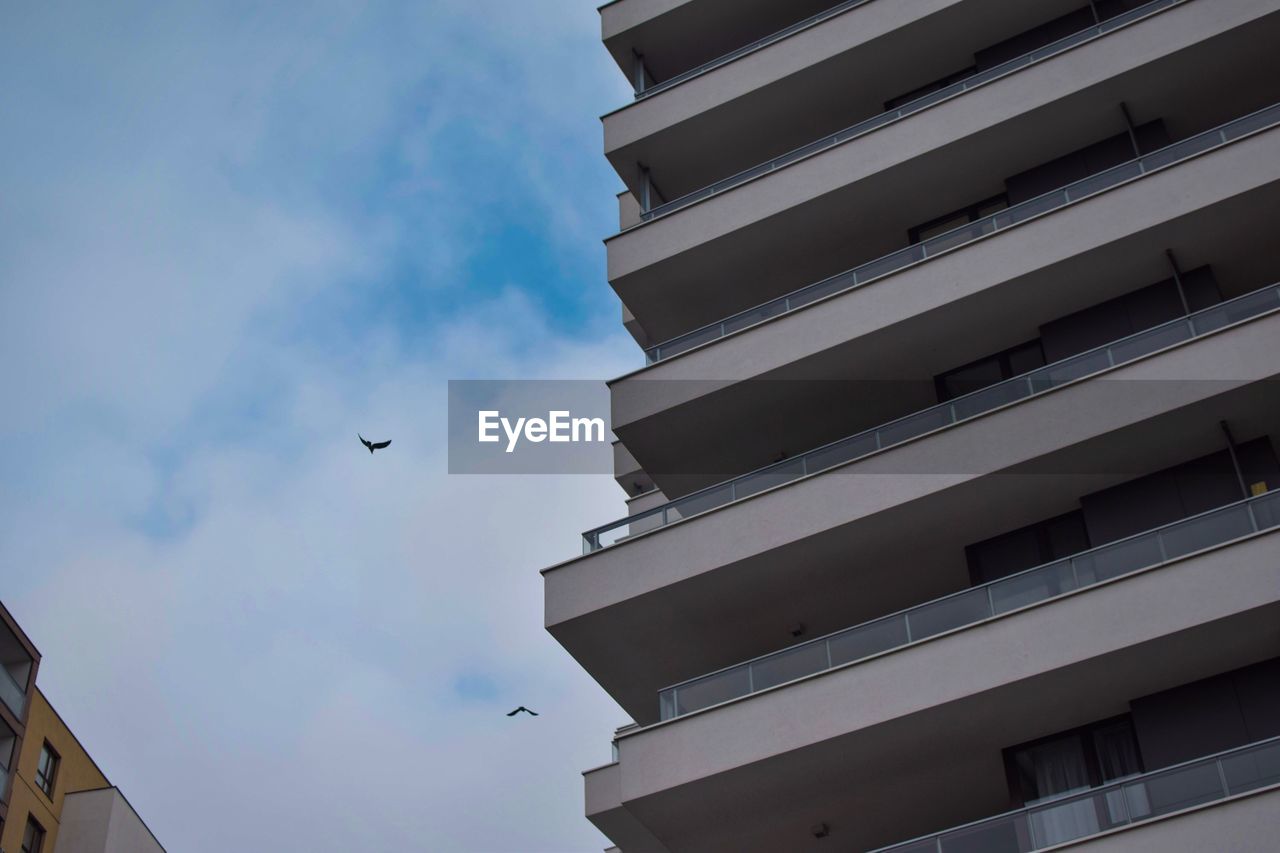 LOW ANGLE VIEW OF BIRD FLYING IN SKY