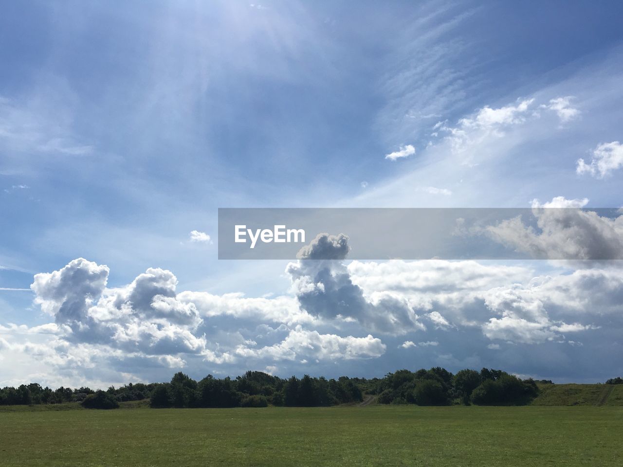 TREES ON FIELD AGAINST SKY