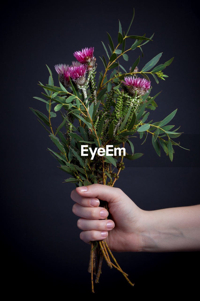 Cropped hand of woman holding bouquet against black background