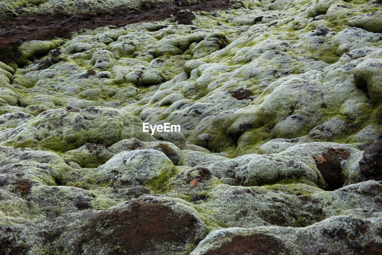 rock, stream, no people, full frame, beauty in nature, day, backgrounds, nature, tranquility, land, high angle view, moss, geology, bedrock, outdoors, green, boulder, plant, growth, wilderness, textured, scenics - nature, tranquil scene