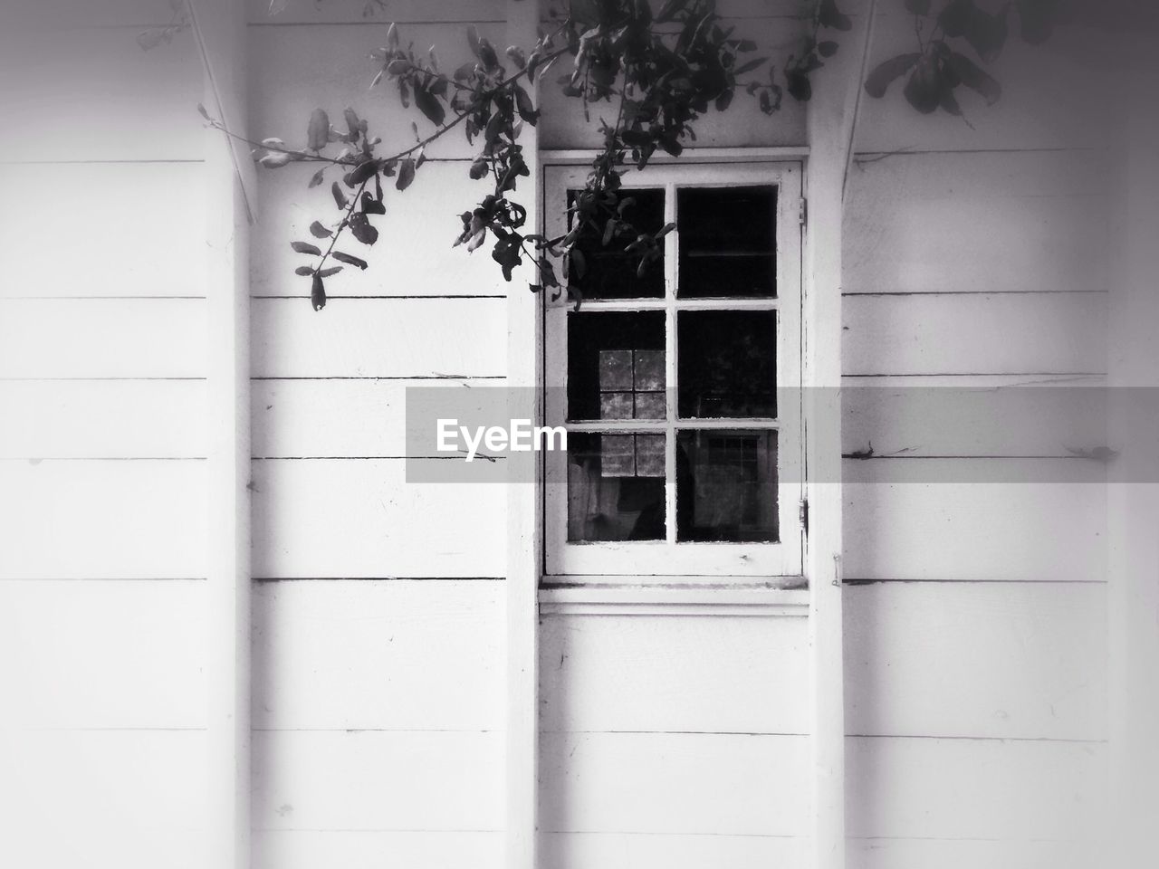 Window in white wooden house