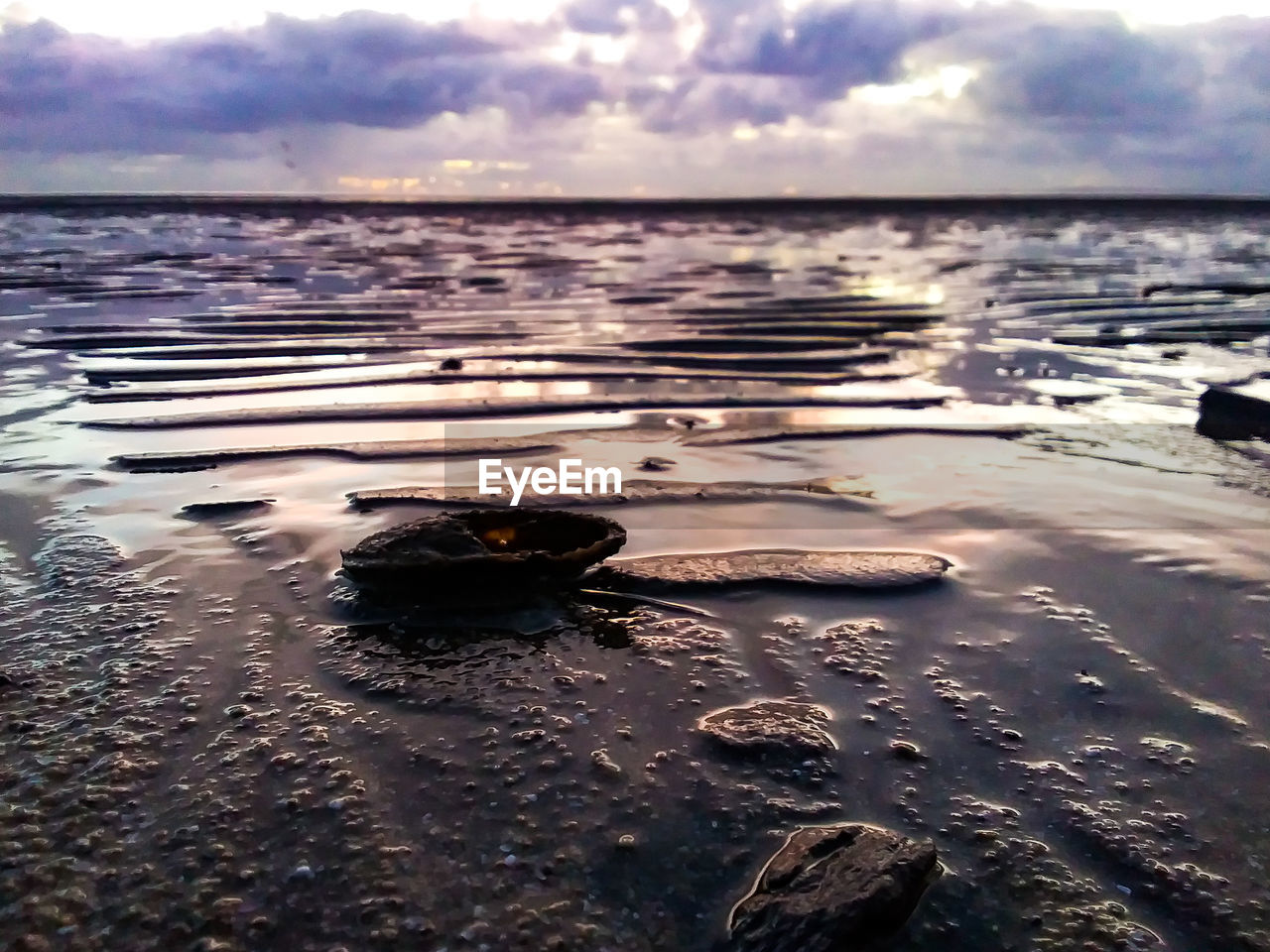 SURFACE LEVEL OF WET SAND ON SHORE