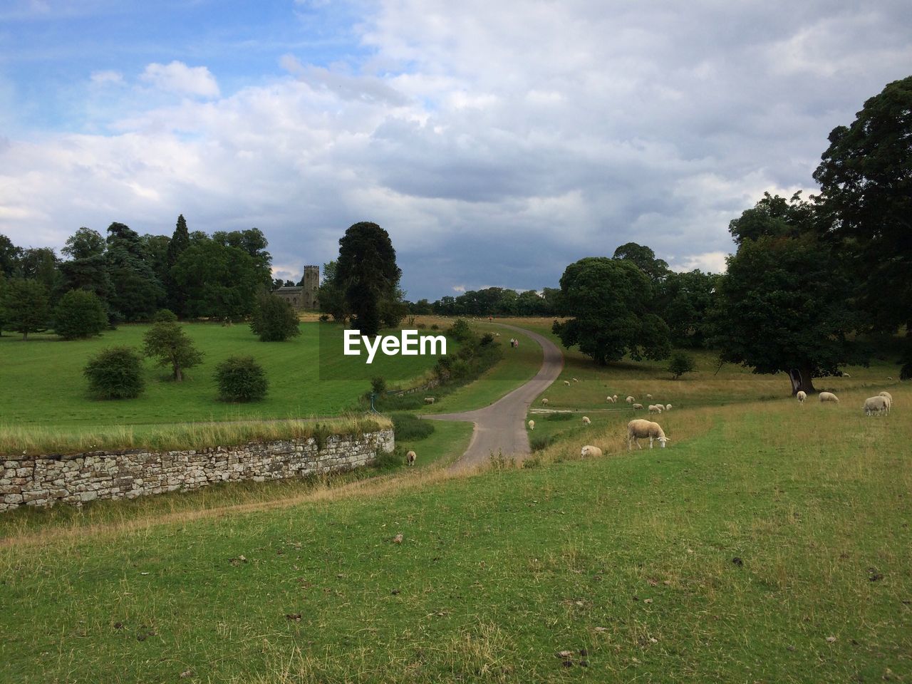 SCENIC VIEW OF GREEN LANDSCAPE AGAINST SKY