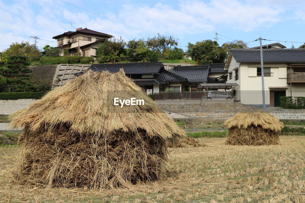 Hay bales on field by building