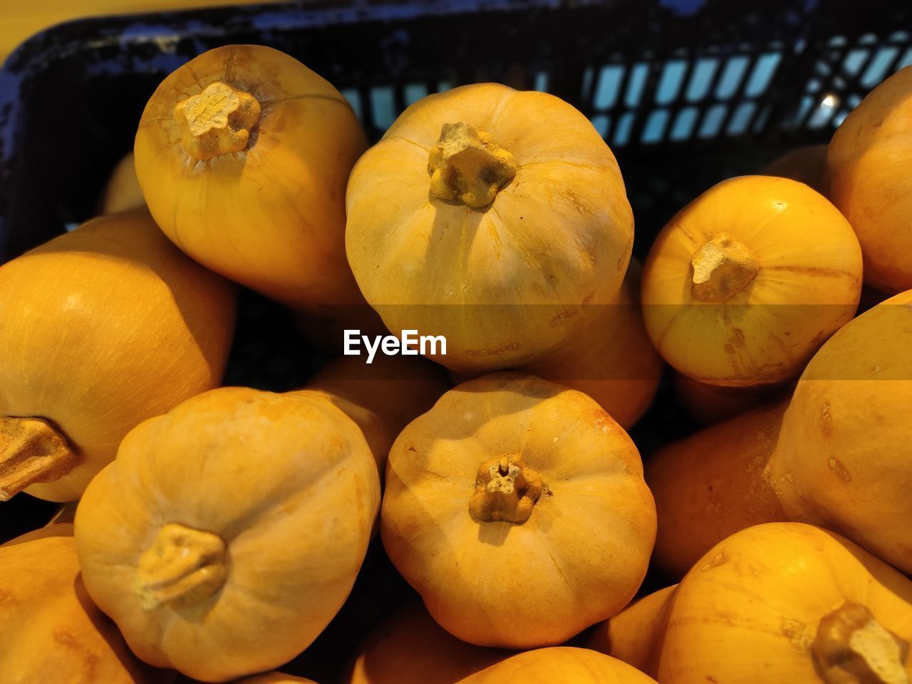 HIGH ANGLE VIEW OF PUMPKINS FOR SALE IN MARKET