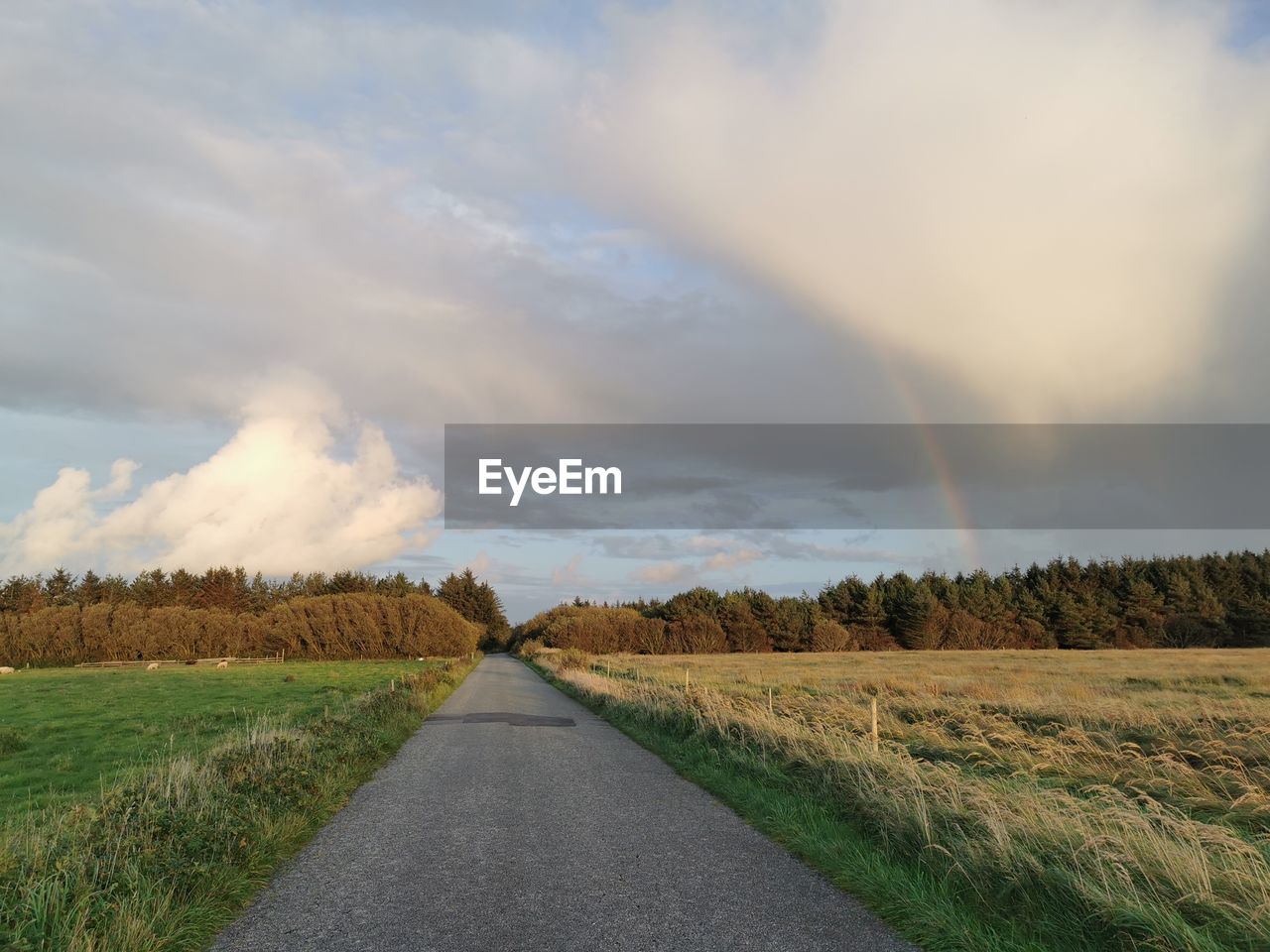 cloud, sky, environment, landscape, plant, nature, beauty in nature, field, horizon, road, land, prairie, scenics - nature, rural scene, the way forward, rural area, grass, rainbow, morning, no people, tranquility, sunlight, transportation, agriculture, hill, tree, dramatic sky, tranquil scene, non-urban scene, storm, cloudscape, day, plain, outdoors, diminishing perspective, vanishing point, crop, storm cloud, idyllic, growth, dirt road, farm, footpath, overcast