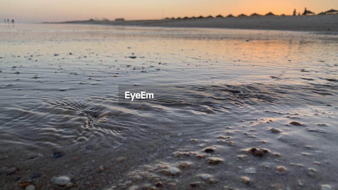 water, shore, land, sky, sunset, sea, nature, environment, sand, landscape, beauty in nature, scenics - nature, beach, tranquility, reflection, wave, animal, animal wildlife, no people, animal themes, tranquil scene, coast, horizon, sun, travel destinations, wildlife, ocean, outdoors, low tide, twilight, dusk, sunlight, travel, body of water, natural environment, winter, tide, bird, non-urban scene, tourism, urban skyline, motion, wet, social issues, cloud, wetland, seascape, idyllic, dramatic sky, day, horizon over water