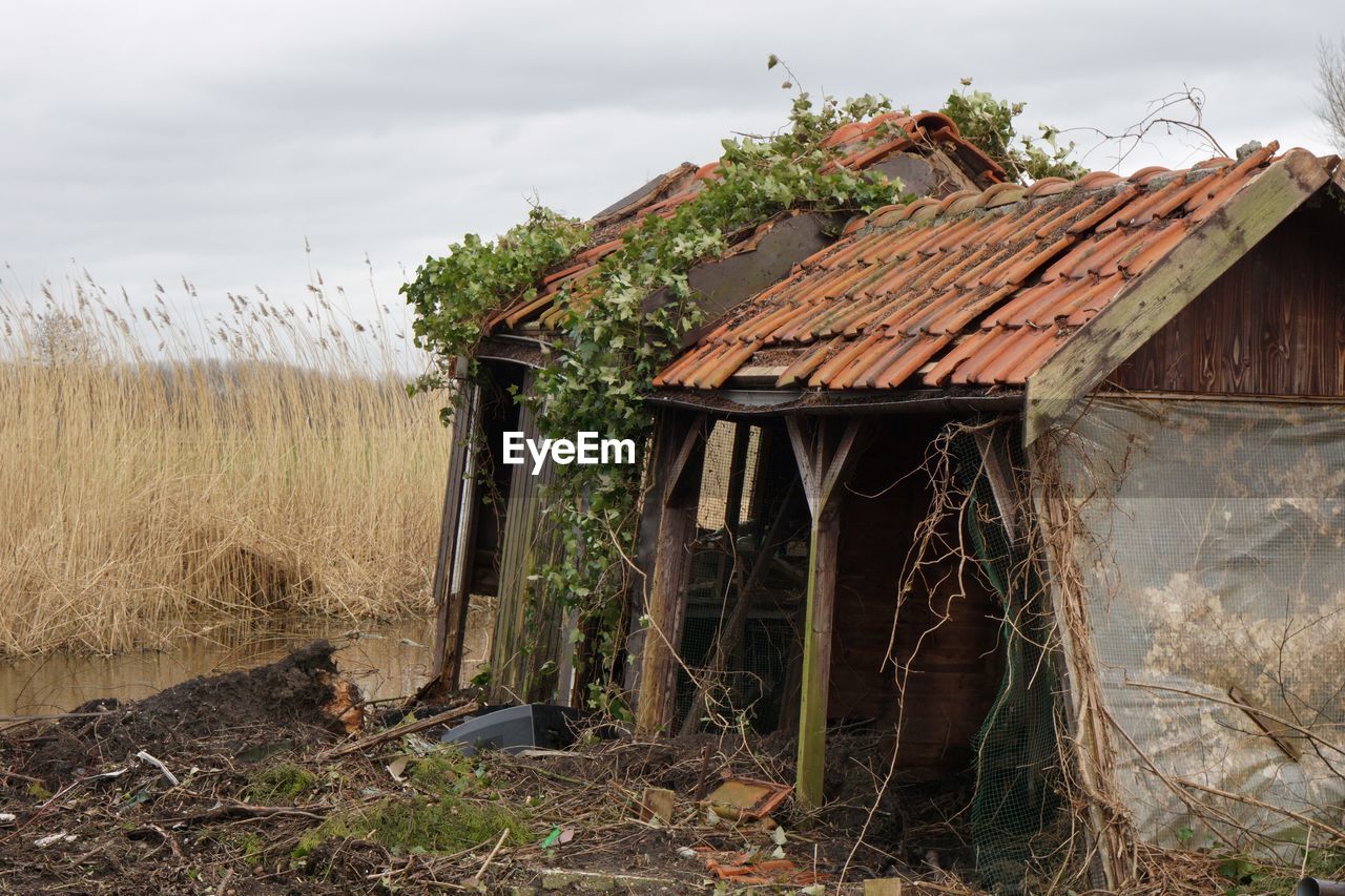rural area, architecture, shack, built structure, building, house, building exterior, nature, sky, plant, cloud, landscape, abandoned, rural scene, agriculture, land, wood, hut, no people, damaged, day, old, residential district, farm, roof, rundown, environment, outdoors, grass, history, field, overcast, decline, deterioration, agricultural building, non-urban scene, tree, bad condition, ruined, weathered, village