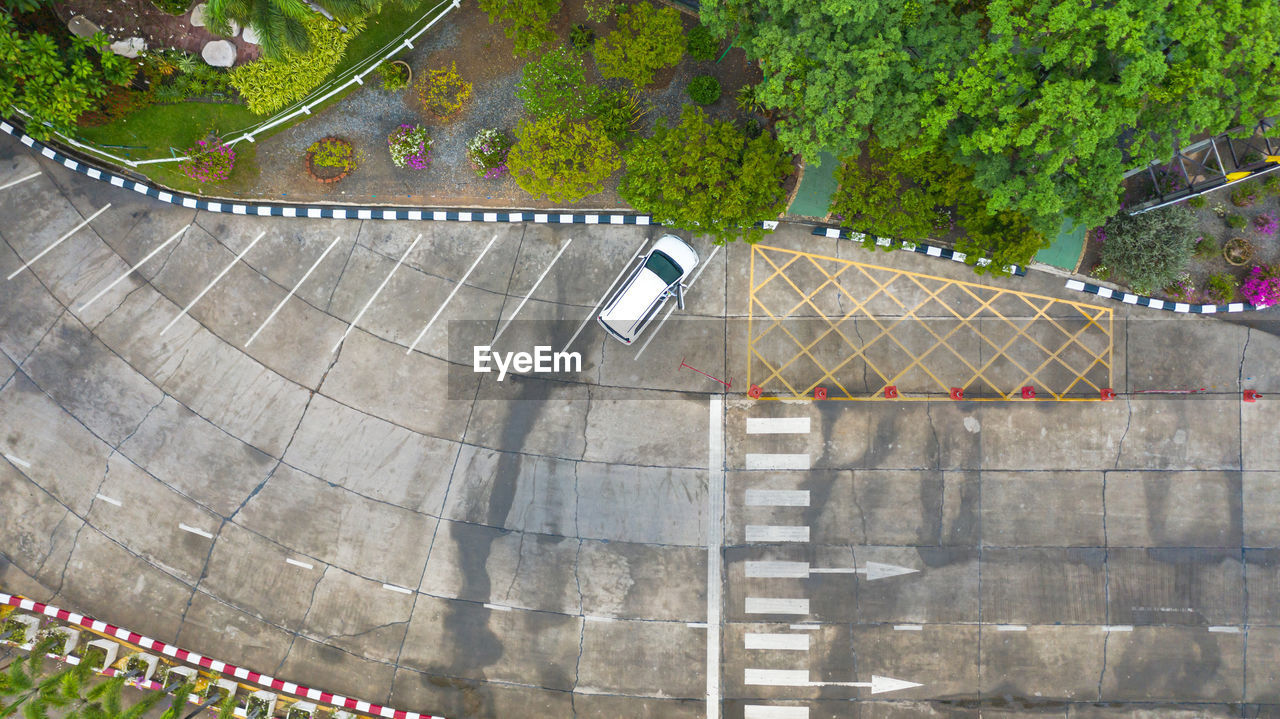 HIGH ANGLE VIEW OF WALL AND TREES BY BUILDING