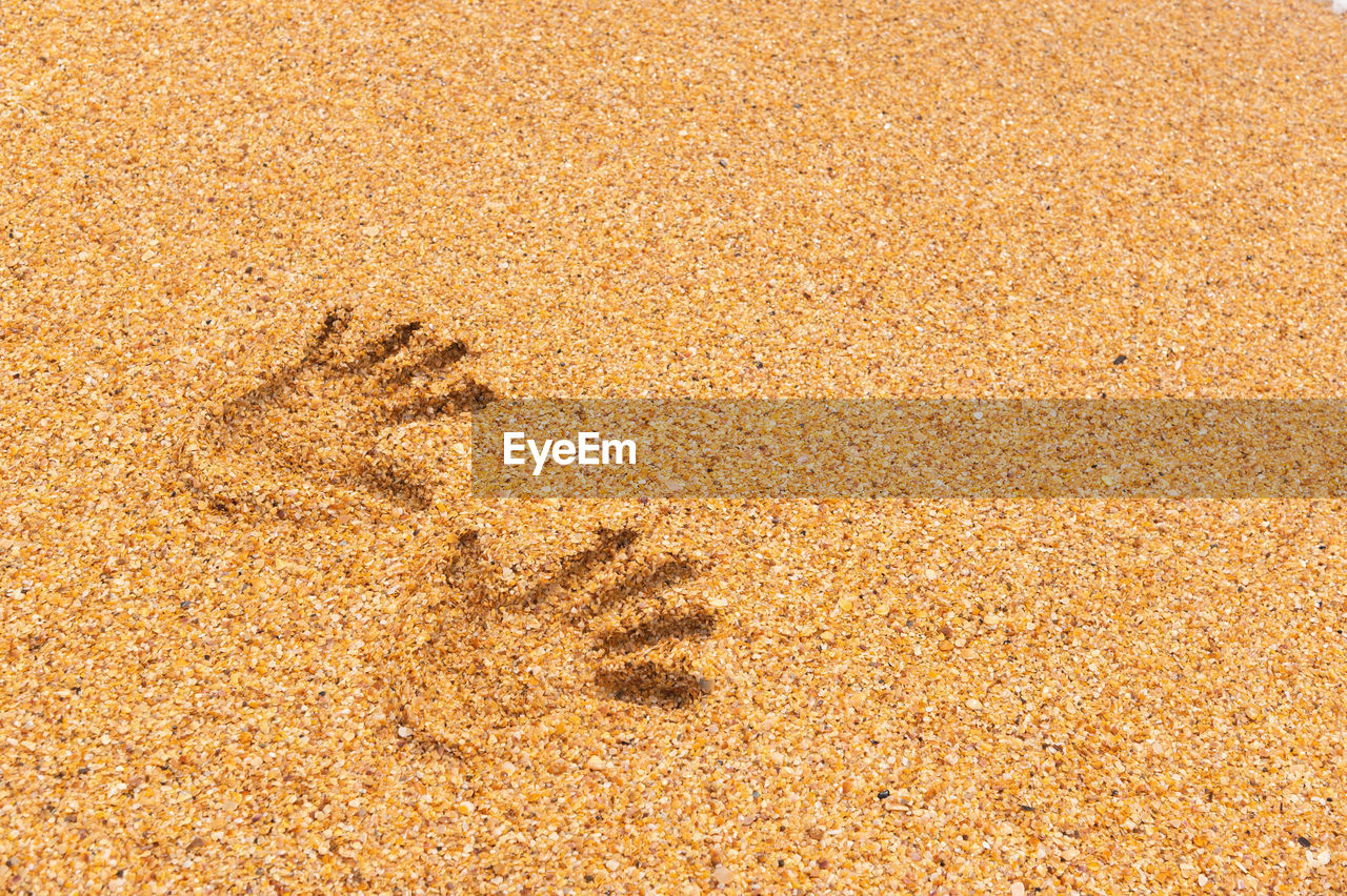 Prints of two women's hands on golden sea sand. sea holiday symbol.