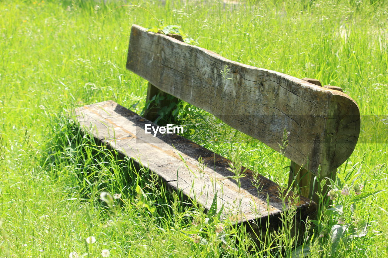 HIGH ANGLE VIEW OF WOOD IN FIELD