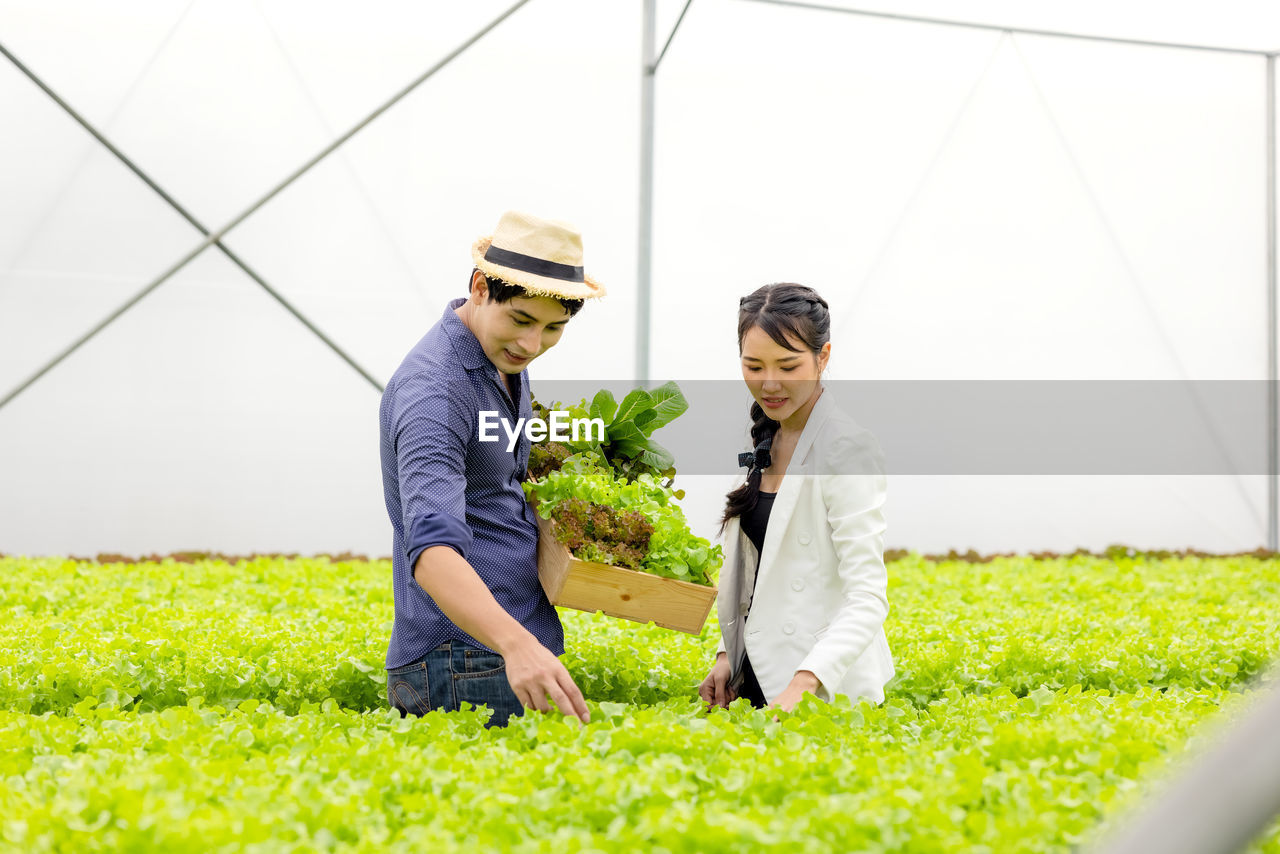 Asian farmer couple work in hydroponic vegetable greenhouse farm with happiness and joyful in row 