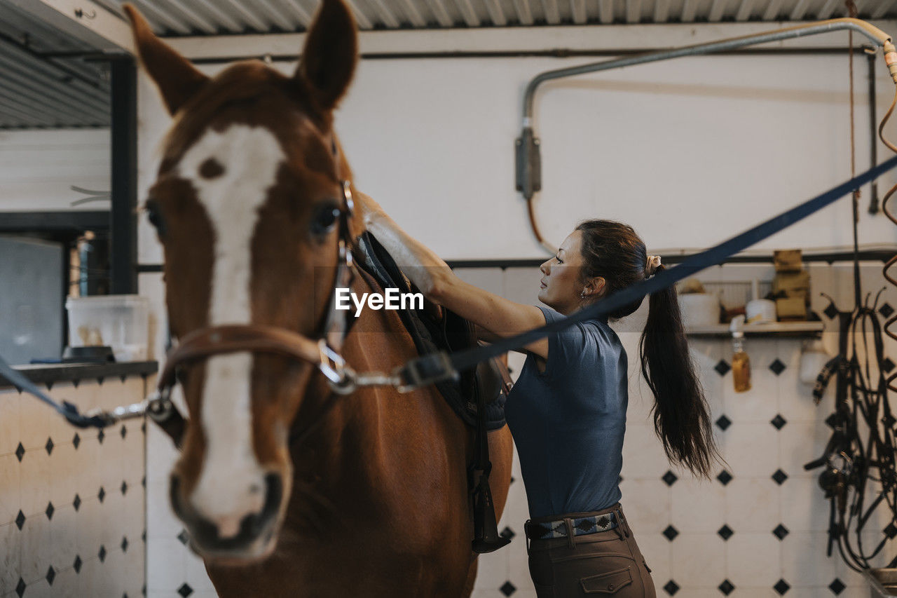 Woman in stable putting saddle on horse