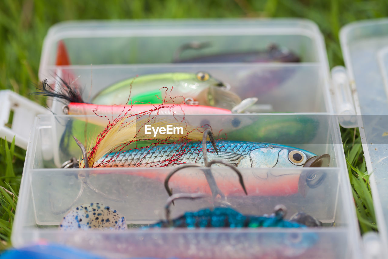 CLOSE-UP OF FISH TANK IN GLASS CONTAINER