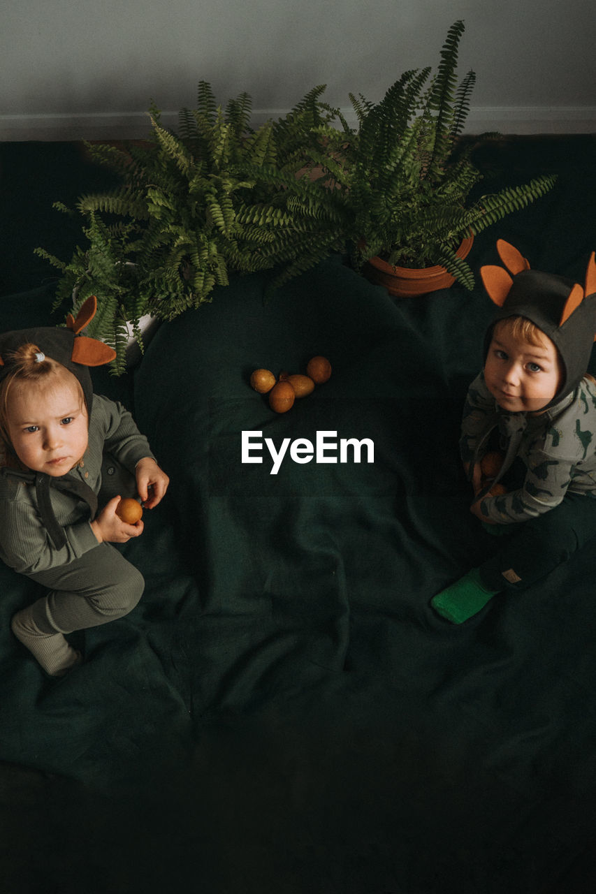 Toddler twins in funny dino costumes sitting with eggs in hands