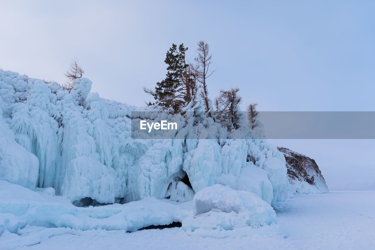 trees on snow covered field against clear sky