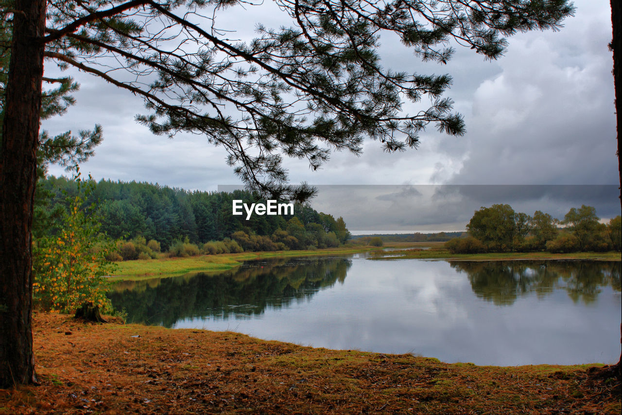 SCENIC VIEW OF LAKE AMIDST TREES AGAINST SKY