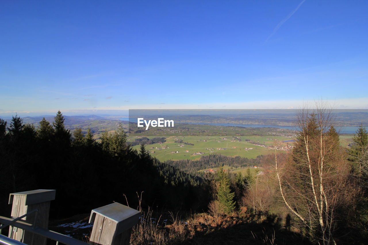 HIGH ANGLE VIEW OF TREES AGAINST SKY