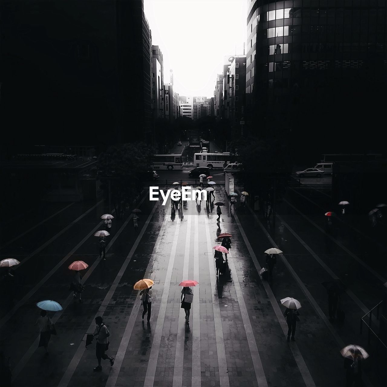 High angle view of people with umbrellas walking on road