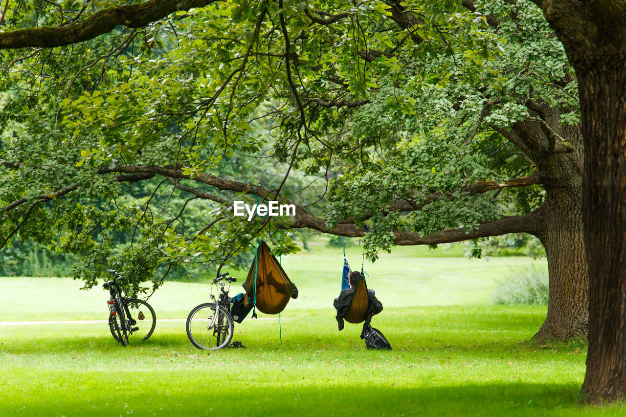 Friends relaxing in hammock at park