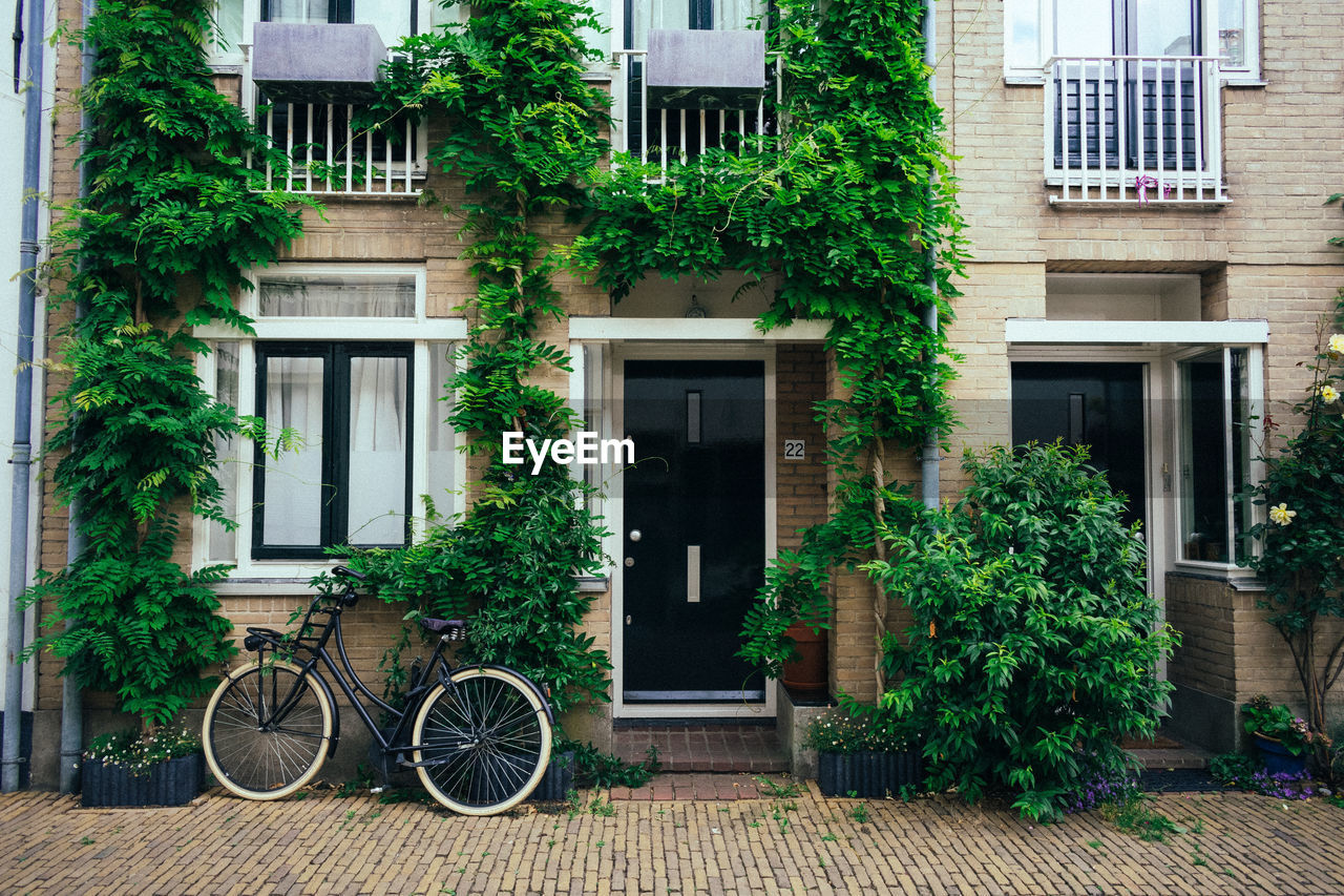 architecture, building exterior, built structure, bicycle, building, window, residential district, neighbourhood, residential area, house, plant, courtyard, home, city, bicycle wheel, facade, no people, estate, door, land vehicle, street, green, outdoors, entrance, wheel, day, nature, vehicle, urban area, ivy, tree, transportation, cottage, suburb, yard, sidewalk