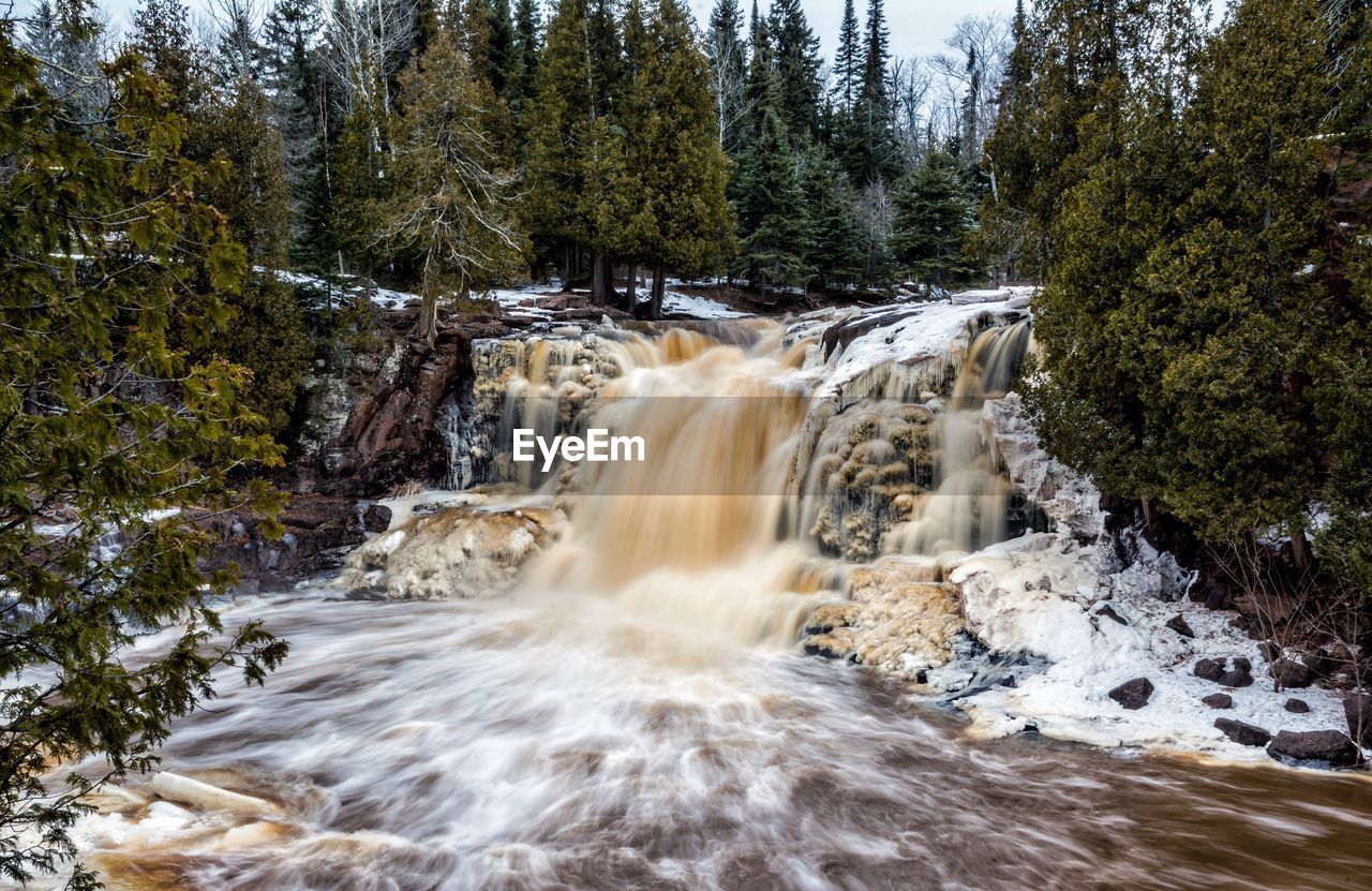 Scenic view of waterfall in forest