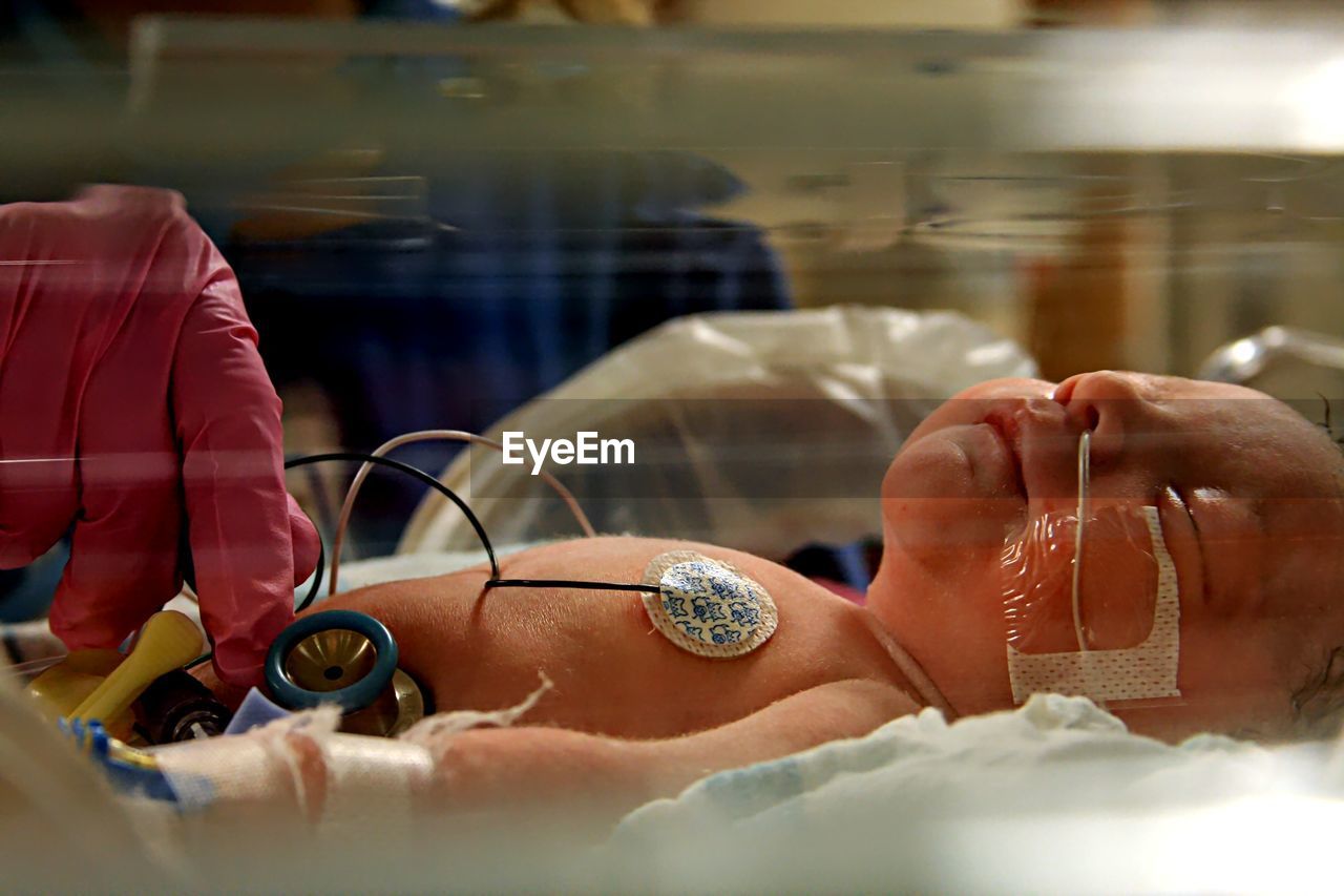 Newborn in hospital incubator. 