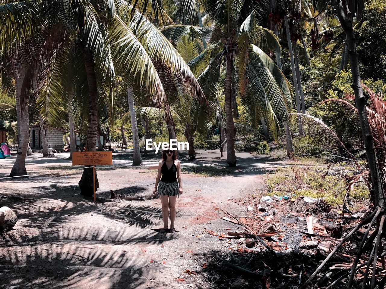 MAN WITH PALM TREES