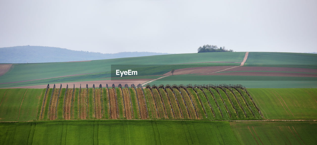 Agricultural landscape against sky