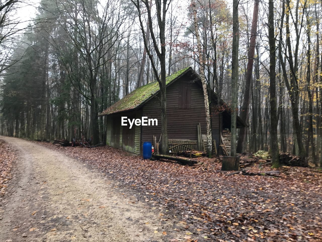 COTTAGE AMIDST TREES IN FOREST