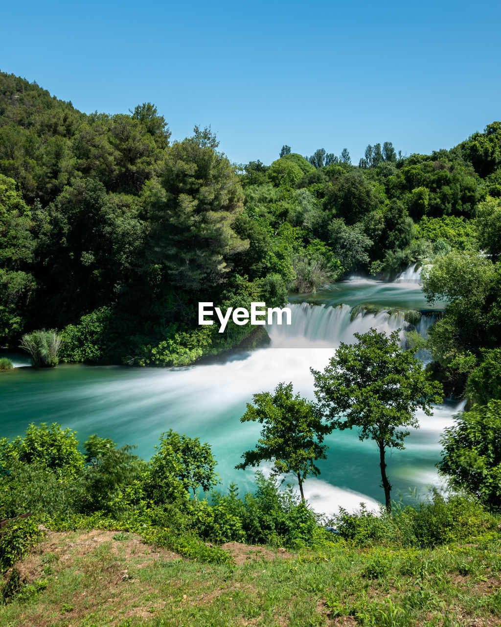 Scenic view of waterfall amidst trees in forest against sky