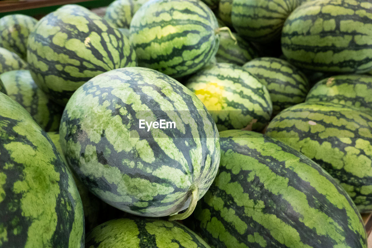 FULL FRAME SHOT OF GREEN FRUITS FOR SALE