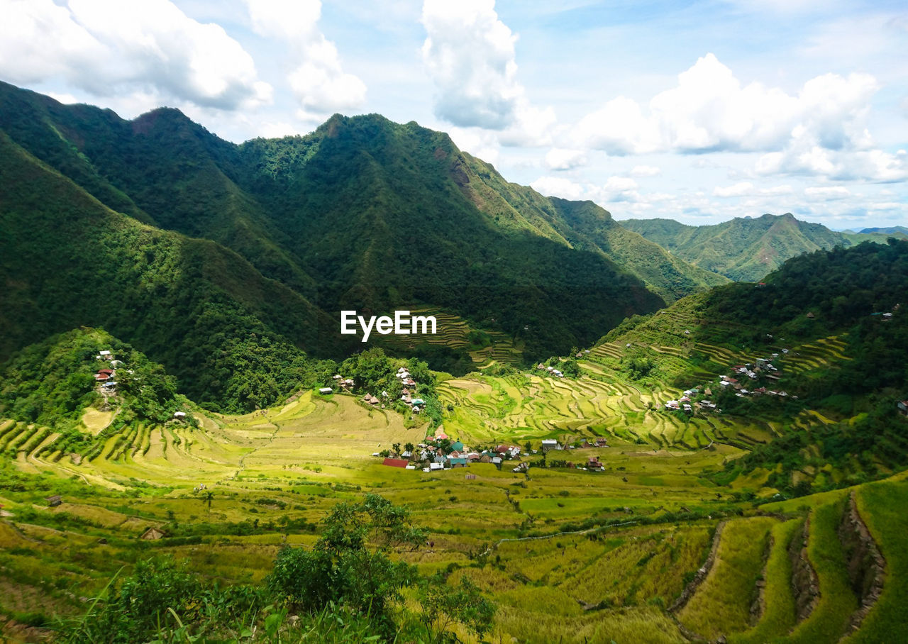 Scenic view of green landscape