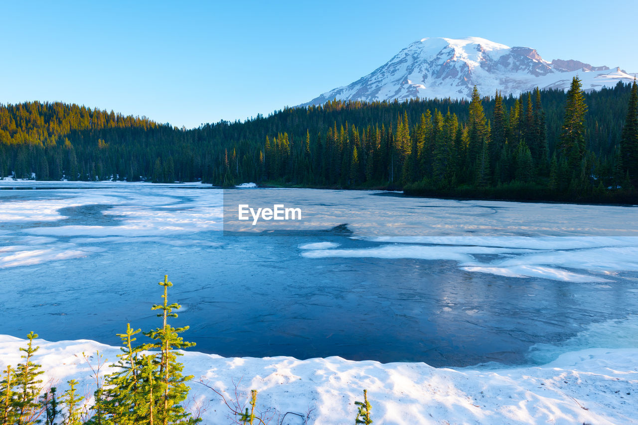 Frozen reflection lake and mount rainier at sunrise, mount rainier national park, washington, usa