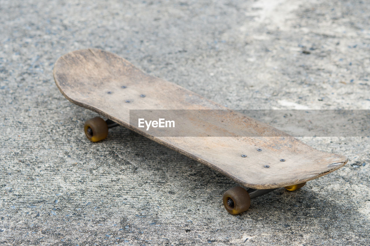 HIGH ANGLE VIEW OF AN INSECT