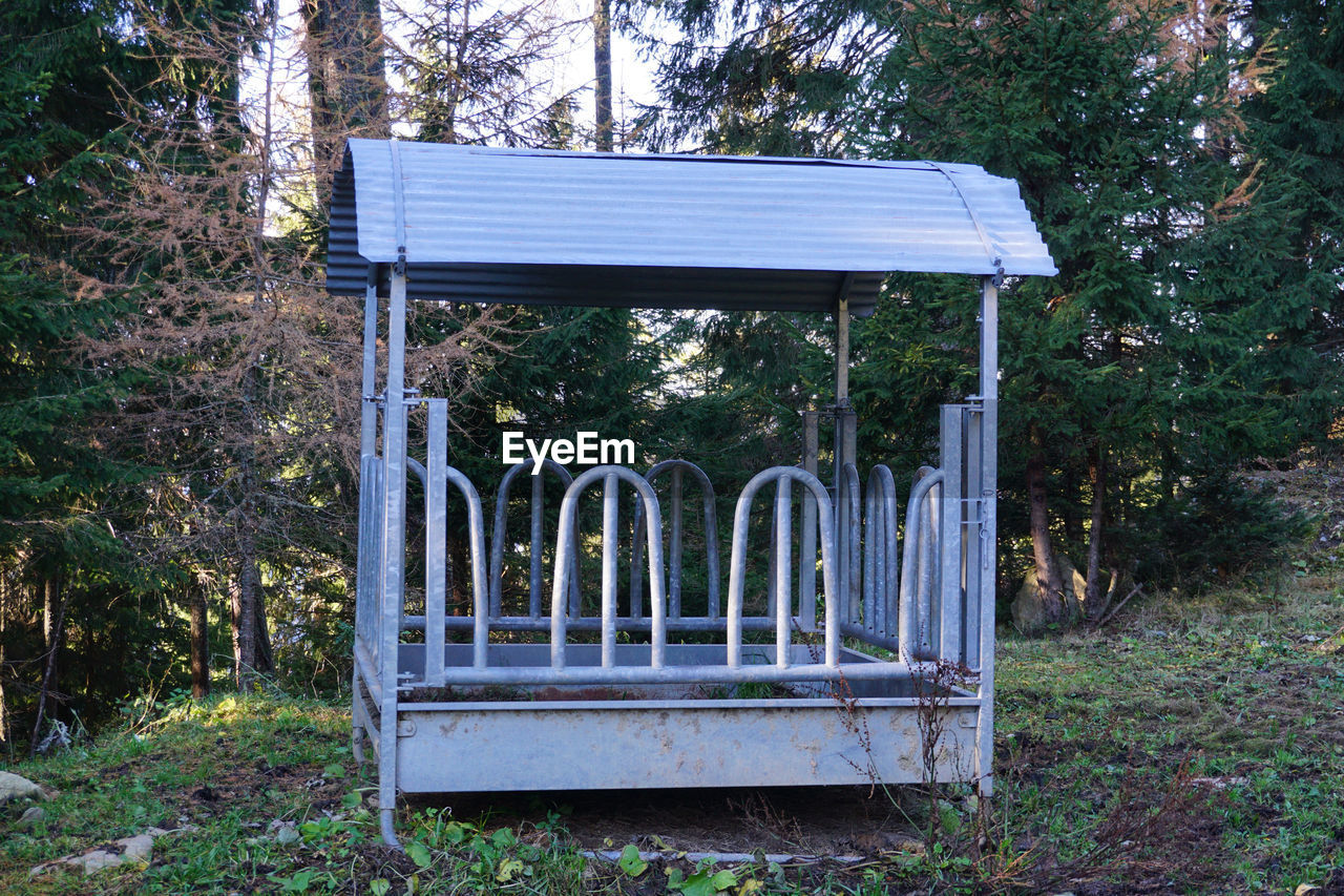 EMPTY CHAIRS IN PARK